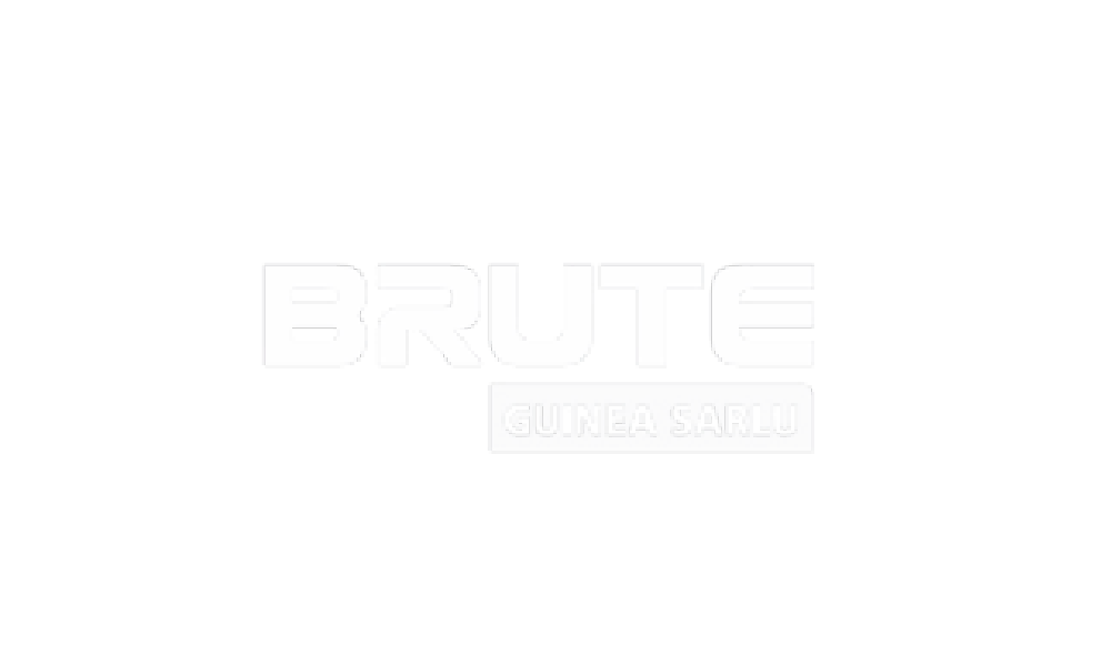 Brute logo - NxGN Solutions client